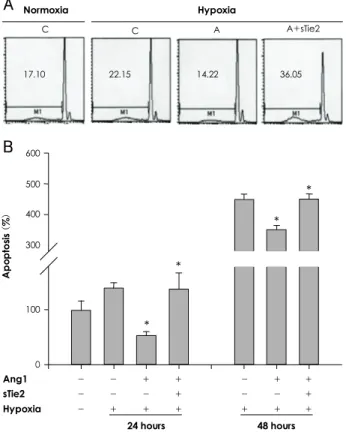 Fig. 5. Ang1 protected against hypoxia-induced HUVECs apop- apop-tosis. A: apoptotic fluorescence-activated cell sorting analysis measuring the hypo-diploid DNA contents, showing a significantly increased apoptotic fraction in the hypoxia group