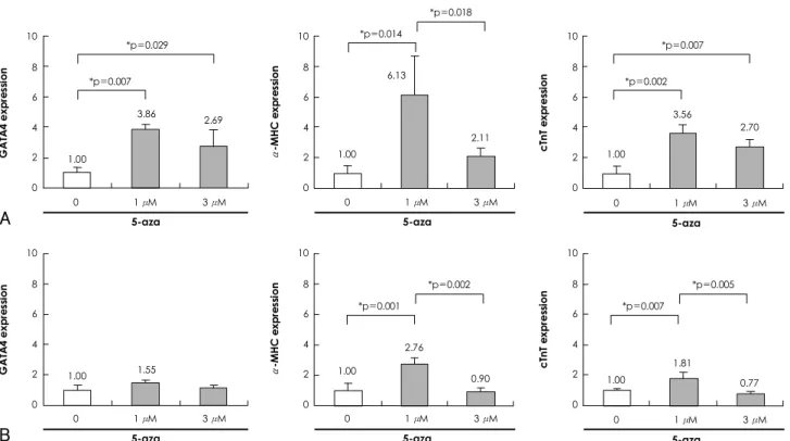 Fig. 4. Effects of 5-azacytidine on cardiomyogenic differentiation of P19 cells under different serum concentrations