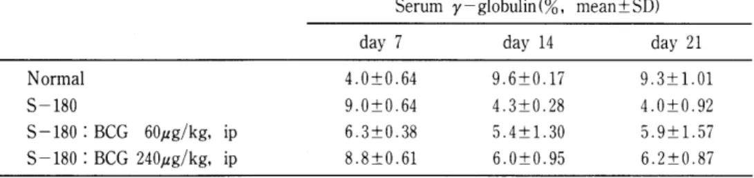 표  3.  Effect  of  BCG  sensitization  on  the  serum  y - globulin  amounts  in  sarcoma -180  tumor - bearing mice 