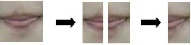 Fig.  6.  Lip  folding  based  on  symmetricalness.