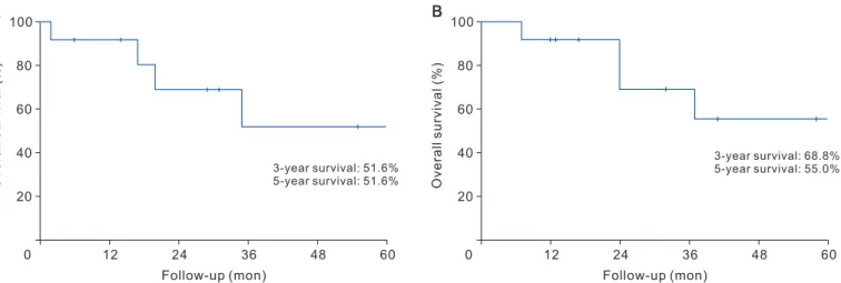 Fig. 2. Patient 6: perihilar cholangiocarcinoma with prolonged chemotherapy and long-term survival
