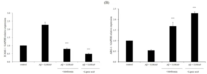 Figure  4.  Metformin  and  α-LA  inhibit  the  M1  polarized  BV-2  microglial  cells