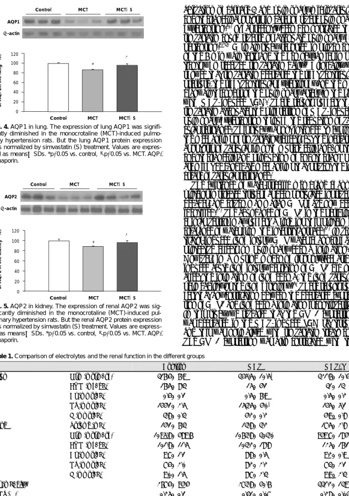 Fig. 5. AQP2 in kidney. The expression of renal AQP2 was sig- sig-nificantly diminished in the monocrotaline (MCT)-induced  pul-monary hypertension rats