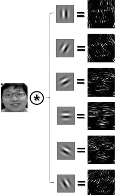 그림  4.  추출된  가버  웨이블릿  특징 Fig.  4.  Extracted  Gabor  wavelet  feature