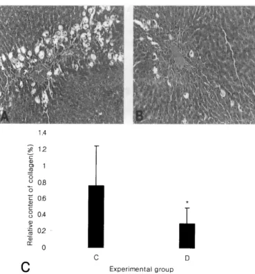 Fig.  3A- C.  Fibrotic changes in CC14-treated rat livers.  A.  only  CC4-treated group  (group  C)  B