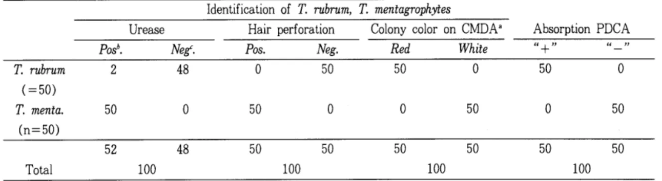 Table  2.  Differentiation  of  similar  conidia - producing  Trichophytoη  spp.  on  SDA  Identification  of  T