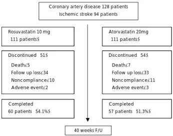 Fig. 1. The flow chart of the study. 