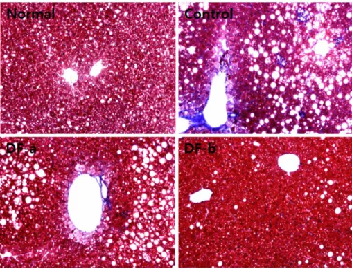 Fig. 9. Number and size of epididymal adipocytes in high fat diet-fed obese mice. 