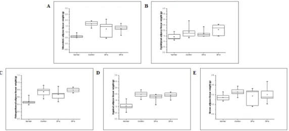 Fig. 2. Adipose tissue weights in high fat diet-fed obese mice.