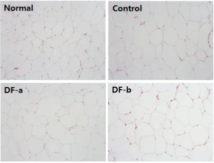 Fig. 6. Histology of inguinal white adipose tissues in high fat diet-fed obese mice. 