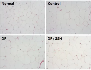 Fig. 6. Histology of inguinal white adipose tissues in high fat diet-fed obese mice. 