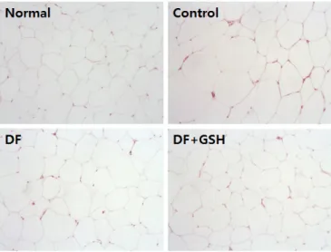 Fig. 7. Number and size of inguinal adipocytes in high fat diet-fed obese mice. 