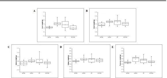 Fig. 2. Adipose tissue weights in high fat diet-fed obese mice. 증가되는  것으로  나타났으나  통계적인  유의성은  없었다