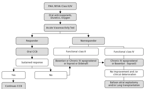 Fig. 2.  Algorithm for the treatment of pulmonary hypertension. 19)