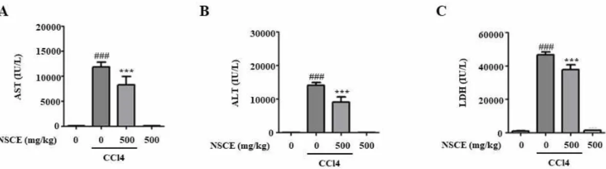 Figure  4.  Effects  of  Nardotidis  seu  Sulculii  Concha  water  extract  (NSCE)  on  CCl 4 -induced  hepatic  damage  in  mice