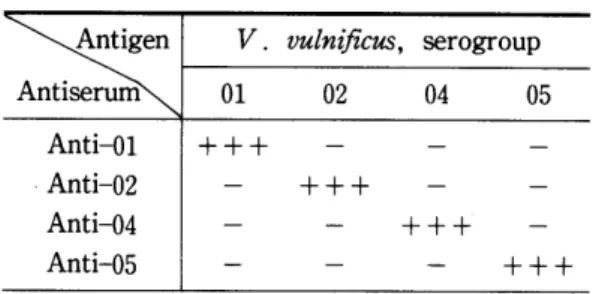 Table  5.  Agglutinability  of  antiserum (1  : 8)  after  absorption  by  the  heavy  cells  of  R-strain  and  reciprocal  strains 