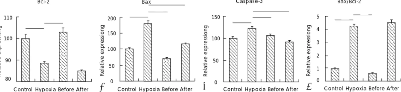 Fig. 3.  Real-time PCR was performed for Bcl-2 (A), Bax (B), and caspase-3 (C) on DNA from cultured H9c2 cells