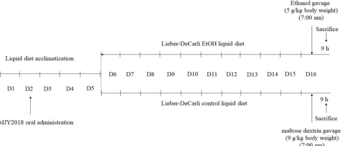 Figure  1.  The  basic  overview  of  the  model  procedures  (NIAAA  model)