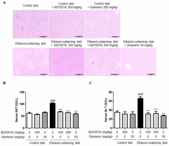 Figure  2.  Effects  of  MJY2018  on  ethanol-induced  liver  injury.  (A)  H&amp;E-stained  liver  sections  of  EtOH-induced  liver  injury  model,  visualized  at  100×,  n=10