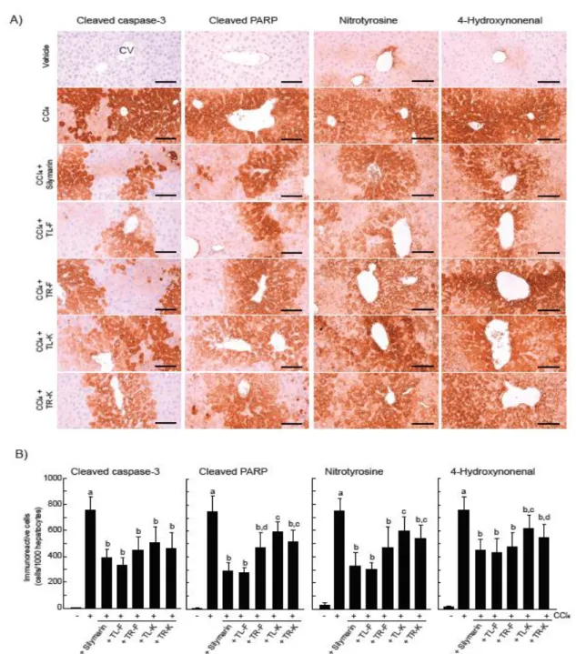 Figure  4. The  effects  of  four  types  of  Taraxaci  Herba  extract  on  hepatocyte  apoptosis  and  oxidative  stress  in  CCl 4 -injected  mice