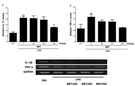 Fig.  3.  Effects  of  BBT  on  Interleukin-1β  (IL-1β)  mRNA  (A)  and  Tumor  Necrosis  Factor-α  (TNF- (TNF-α)  mRNA  (B)  expression  in  the  Hippocampus  after  lipopolysaccharide  injection