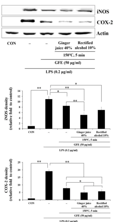 Fig.  3.  Inhibitory  effects  of  Gardeniae  Fructus  ethanol  extracts  (GFE)  on  the  expression  of  iNOS  and  COX-2