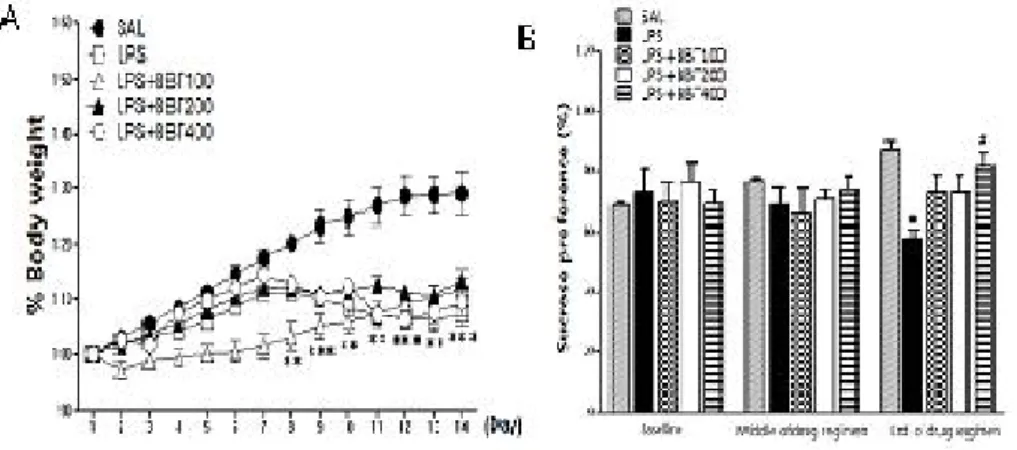 Fig.  2. Effects  of  BBT  on  body  weight  (A)  and  sucrose  intake  (B)  in  rats  exposed  to  LPS