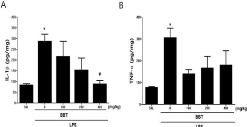 Fig.  5. Effects  of  BBT  on  IL-1β(A)  protein  and  TNF-α  protein  (B)  concentrations