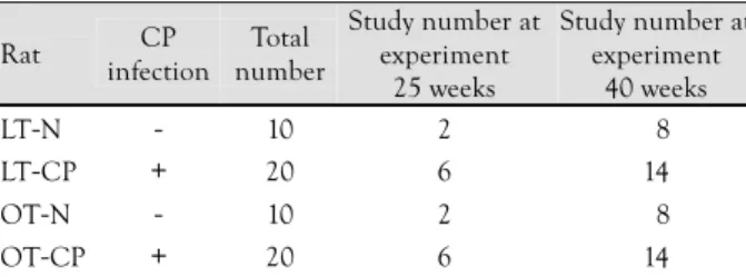 Table 1.  Number of LETO rats and OLETF rats 