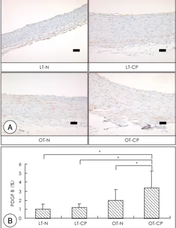 Fig. 6.  ELISA of serum monocyte chemoattractant protein-1 (MCP- (MCP-1) at experiment 24 and 40 weeks