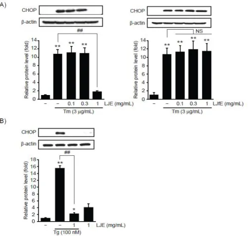 Figure 1. The  effect  of  L.  japonica water  extract on  ER  stress-mediated  CHOP  expression
