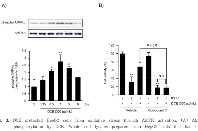 Fig.  3. DCE  protected  HepG2  cells  from  oxidative  stress  through  AMPK  activation