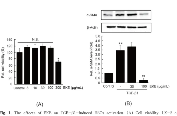 Fig.  1. The  effects  of  EKE  on  TGF-β1-induced  HSCs  activation.  (A)  Cell  viability