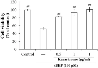 Fig.  2. Hepatoprotective  effect  of  kurarinone  against  tBHP-induced  cell  death.