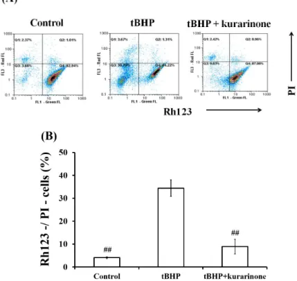 Fig.  5.  Flow  cytometric  analysis  of  MMP  using  Rh123/PI  staining. 
