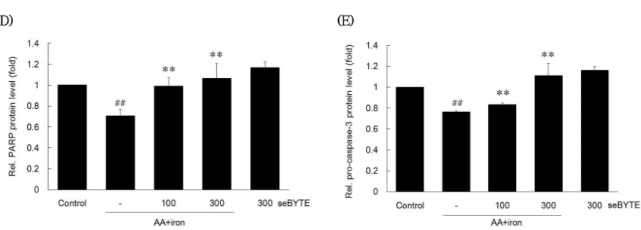 Fig.  1.  The  effect  of  seBYTE  on  AA  +  iron-induced  cell  death. 