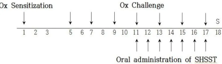 Fig.  1.  Experimental  schedule  The  experimental  groups  except  naive  group,  were  sensitized  by  painting  oxazolone  on  day  1,  then  challenged  on  days  5,  7,  9,  11,  13,  15  and  17