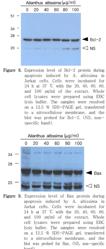 Figure  7.  Induction  of  p21  expression  level  during apoptosis  induced  by  A.  altissima  in  Jurkat  cells