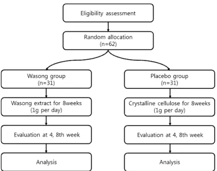 Figure  1.  Flow  Chart  of  the  Trial   1.   피험자  선정   1)  대상자     만  45세  이상의  성인  남녀