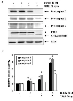 Fig.  5.  Effects  of  bufalin  and  TRAIL  on  the  expression  of  apoptosis  related  proteins