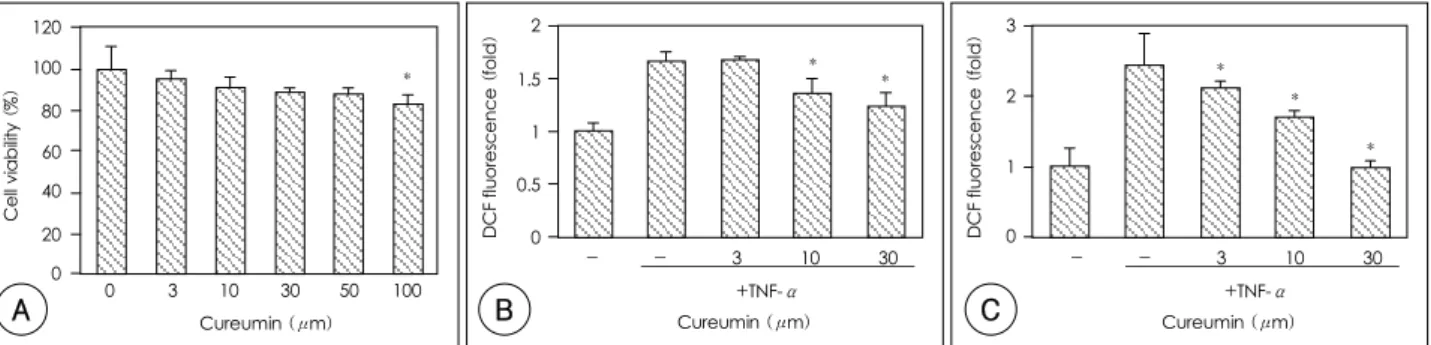 Fig. 1.  The effects of curcumin on cell viability, the intracellular ROS level and U937 monocyte adhesion in the TNF-α-stimulated HUVECs