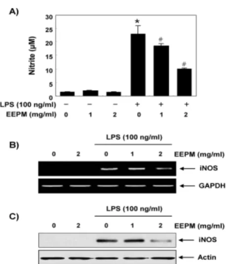 Fig.  2.  Effects  of  EEPM  on  LPS-induced  NO  production,  and  iNOS  expression  in  RAW  264.7  macrophages