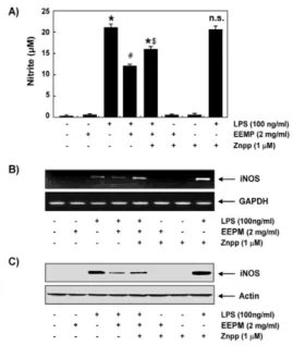 Fig.  5.  Effects  of  a  HO-1  inhibitor  on  the  EEPM-mediated  attenuation  of  NO  production  and  iNOS  expression  in  LPS-stimulated  RAW  264.7  macrophages