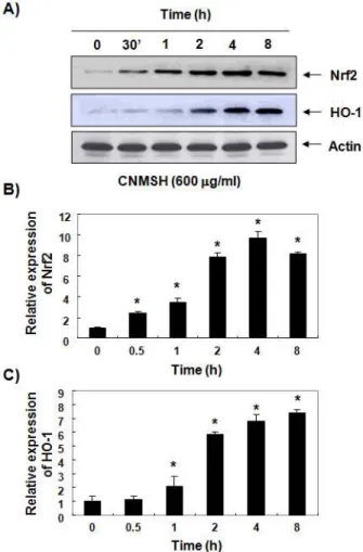 Figure  7.  Induction  of  Nrf2  and  HO-1  expression  by  CNMSH  in  SH-SY5Y  cells