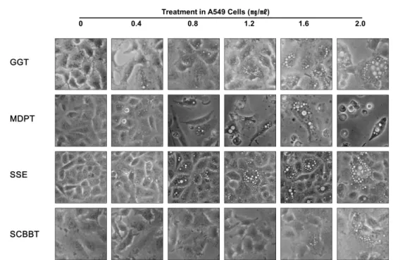 Fig.  5. Analysis  of  morphologic  changes  in  4  multi-herb  formulas-treated  A549  lung  cancer  cells