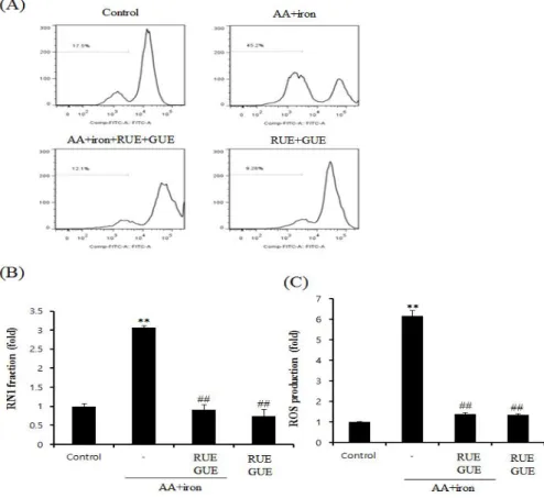 Fig.  2.  Effect  of  RUE  and  GUE  on  mitochondrial  dysfunction  and  oxidative  stress