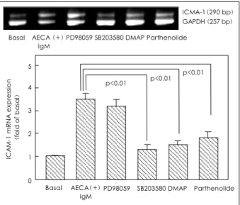 Fig. 7 . Effects of four different signal transduction inhibitors on the IgM-AECA-induced ICAM-1 mRNA expression of HCAEC