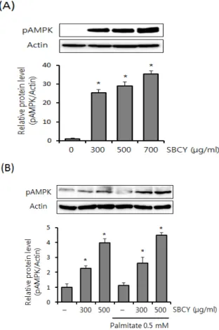 Figure  3.  Effect  of  SBCE  on  AMPK  Activation  in  HepG2  Cells
