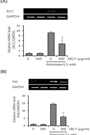 Figure  5.  Effect  of  SBCE  on  ACC  and  FAS  in  HepG2  Cells