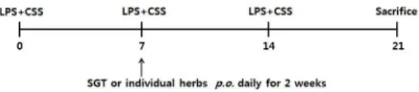 Fig.  1.  Total  Particulate  Matter  of  Cigarette  Smoke  Solution.